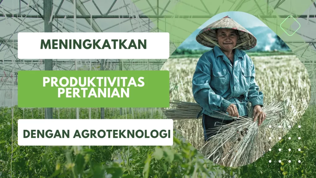 meningkatkan produktivitas pertanian dengan agroteknologi